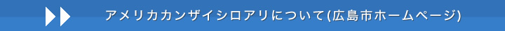 アメリカカンザイシロアリについて
